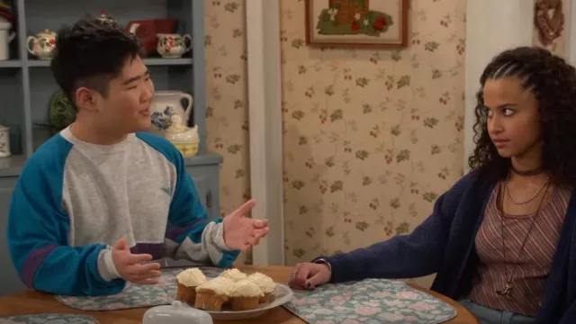 Sweat-shirt poney porté par Ozzie (Reyn Doi) comme on le voit dans That '90s Show (S02E07)