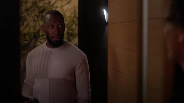 Forét Walnut Patchwork Men's Knit Sweater worn by Peter (Lamorne Morris) as seen in Unstable (S02E04)