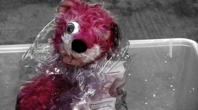 Pink teddy bear as seen on Breaking Bad Spotern