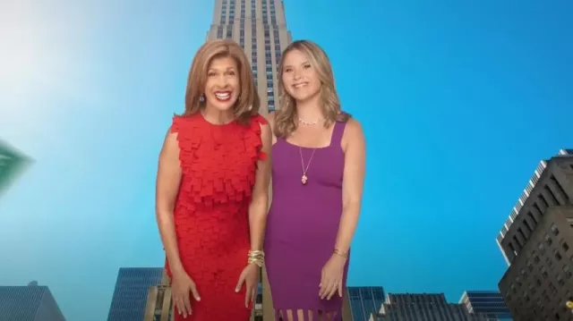 A.W.A.K.E. Mode Rectangle Appliqué Midi-Dress worn by Hoda Kotb as seen in Today with Hoda & Jenna on September 4, 2024