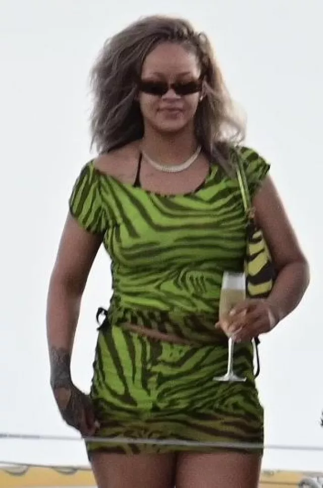 Dolce & Gabbana 90S Vintage Zebra Print T Shirt worn by Rihanna in Barbados on August 10, 2024
