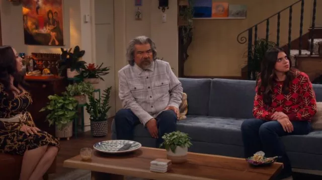 Chemise Paige Wilbur portée par George (George Lopez) comme on le voit dans Lopez vs Lopez (S03E03)