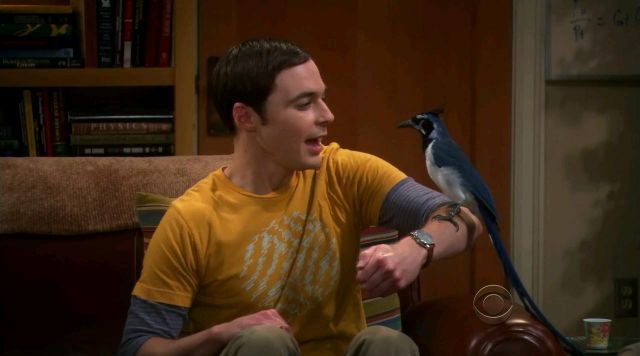 The yellow t-shirt of Sheldon Cooper in The Big Bang Theory S05E09