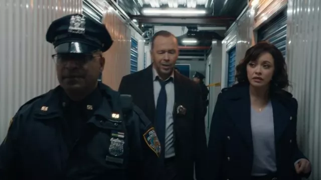 Pull en cachemire à col en V porté par Maria Baez (Marisa Ramirez) comme on le voit dans Blue Bloods (S14E13)