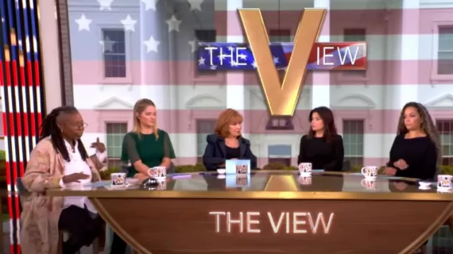 Jason Wu Silk Chiffon Ruffled Minidress worn by Sara Haines as seen in The View on  November 6, 2024