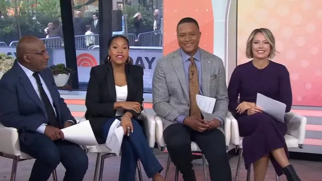 Thakoon Collective Long Sleeve Dress worn by Dylan Dreyer as seen in Today on  November 8, 2024