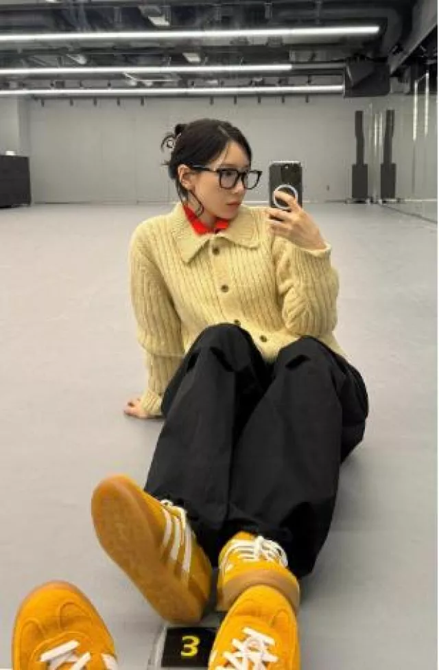 Own Feature Colour Brushed Collar Cardigan worn by Taeyeon on her Instagram Post on November 19, 2024