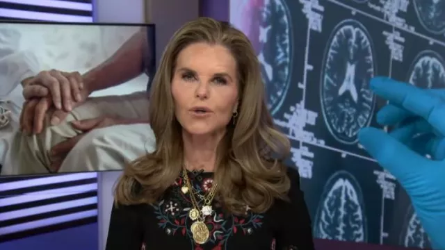 Zara Floral Embroidered Dress worn by Maria Shriver as seen in Today on  November 22, 2024 | Spotern