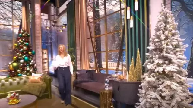 Pantalones de pierna ancha Altuzarra Rudy usados por Lisa Kudrow como se vio en The View el 13 de diciembre de 2024