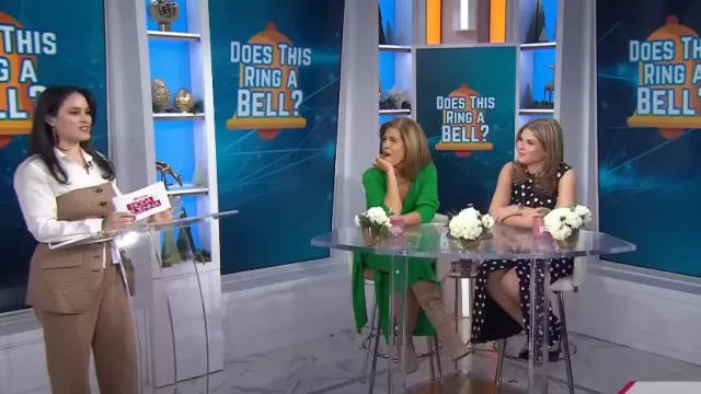 Favorite Daughter Favorite Houndstooth Wide Leg Pants worn by Donna Farizan as seen in Today with Hoda & Jenna on December 27, 2024