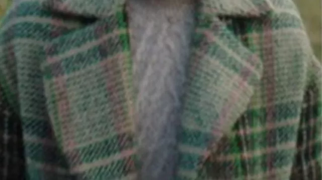 Plaid Coat of Lucy Lambert (Jessica Brown Findlay) in Playing Nice (S01)