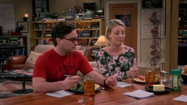 The red t-shirt, Arbor Apparel of Leonard Hofstadter (Johnny Galecki) The Big Bang Theory