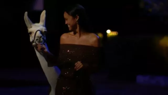 Meshki Marcel Robe longue en diamant à épaules dénudées portée par (Alexe Godin) comme on le voit dans The Bachelor (S29E01)