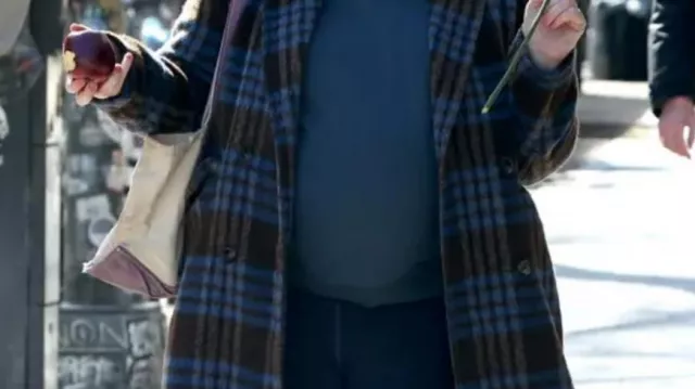 Abrigo a cuadros usado por Lainy Newton (Amy Schumer) como se ve en Kinda Pregnant