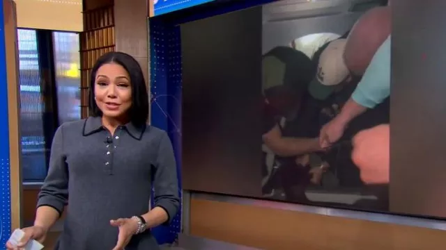 Robe polo Maje Rowell en anthracite portée par Stephanie Ramos comme on le voit dans Good Morning America le 6 février 2025