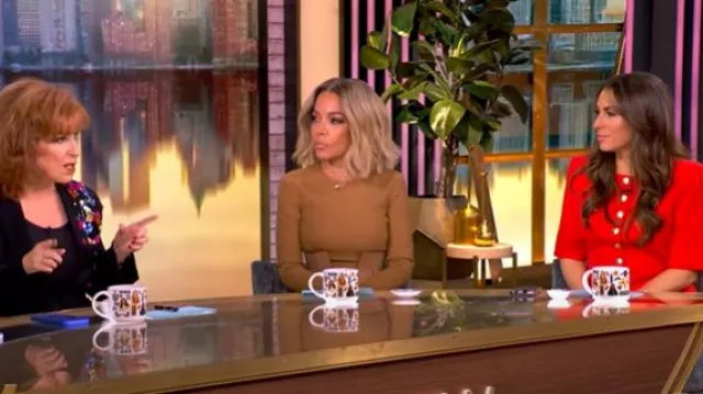 Sergio Hudson Paneled Pleated Woven Midi Dress worn by Sunny Hostin as seen in The View on February 11, 2025