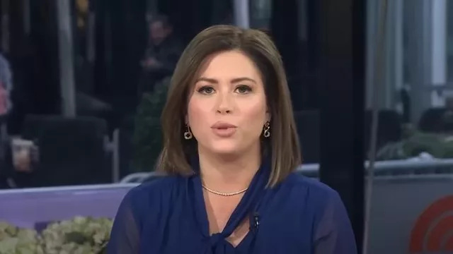 Ann Taylor Chiffon Mixed Media Tie Neck Top worn by Chloe Melas as seen in Today on February 13, 2025