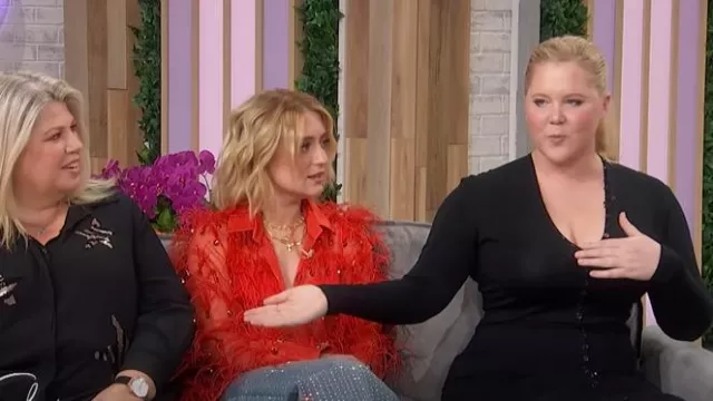 Alexander Wang Vestido ajustado de punto de manga larga abotonado usado por Amy Schumer visto en Sherri el 12 de febrero de 2025