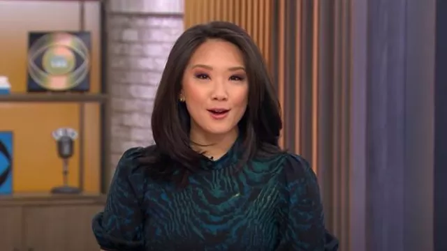 Diane von Furstenberg Nella Dress in Moire Tiger portée par Nancy Chen comme on le voit dans CBS Mornings le 18 février 2025