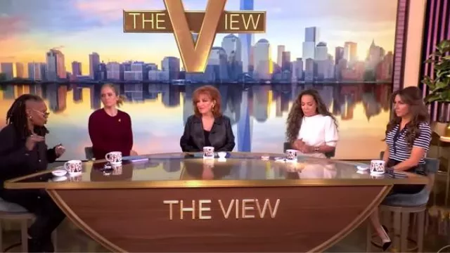 Manolo Blahnik Fabio Escarpins à talons aiguilles en cuir mélangé portés par Alyssa Farah comme on le voit dans The View le 12 mars 2025