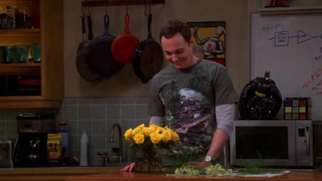 The t-shirt "Train in the mountains" by Sheldon Cooper (Jim Parsons) in The big bang theory S08E23