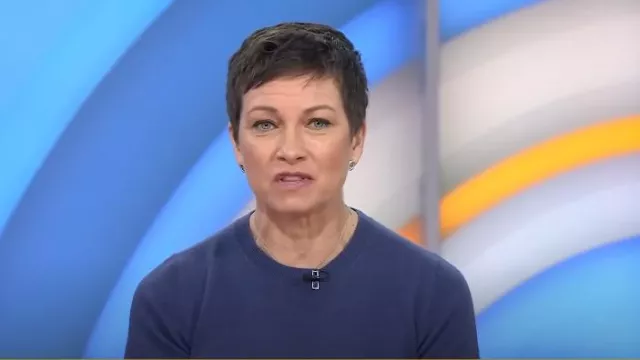 Theory Basic Merino Wool T-Shirt in Ash Blue worn by Stephanie Gosk as seen in Today on April 1, 2025