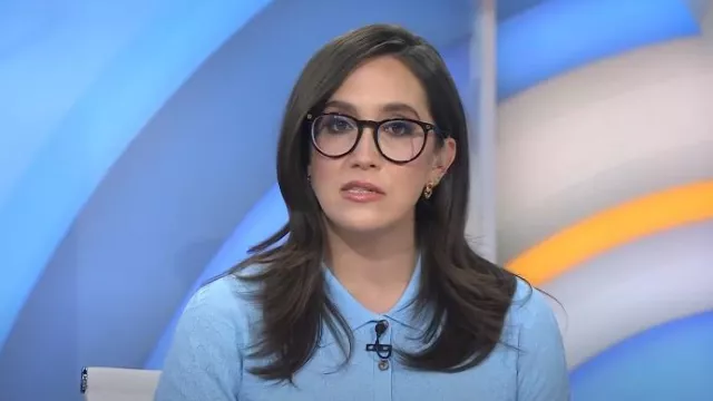 Scoop Fitted Jacquard Polo with Long Sleeves worn by Savannah Guthrie as seen in Today on April 3, 2025