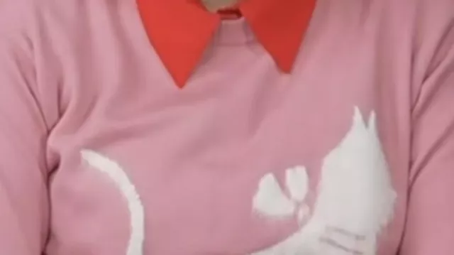 Pink Cat Print Sweater worn by (Bryce Dallas Howard) in Access Hollywood (S27)