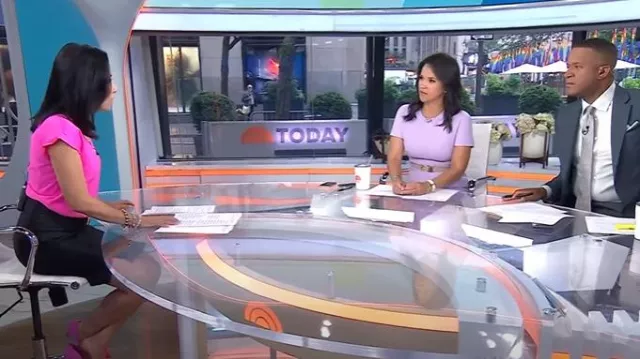 Express V-Neck Short Cuff Sleeve Gramercy Tee worn by Vicky Nguyen as seen in Today on June 18, 2025