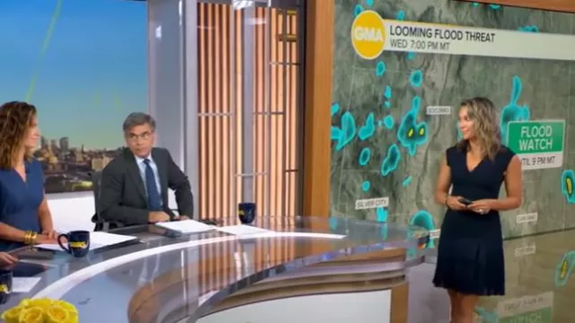 Vestido con dobladillo plisado de Reiss Janie usado por Ginger Zee como se vio en Good Morning America el 9 de julio de 2025