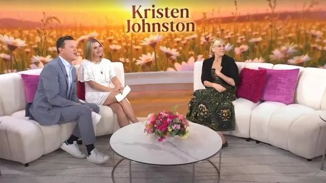 Zapatilla Adidas Stan Smith usada por Willie Geist como se ve en Today el 25 de julio de 2025