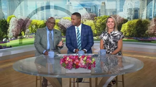Vince Camuto Fern Print Cotton Poplin Midi Shirtdress worn by Dylan Dreyer as seen in Today on August 1, 2025