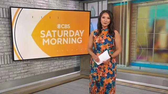 Vestido plisado con cinturón de estampado abstracto Tahari ASL usado por Nancy Chen como se ve en CBS Mornings el 27 de julio de 2025