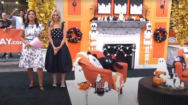 DKNY Woven A-Line Bubble Skirt worn by Chassie Post as seen in Today on August 25, 2025