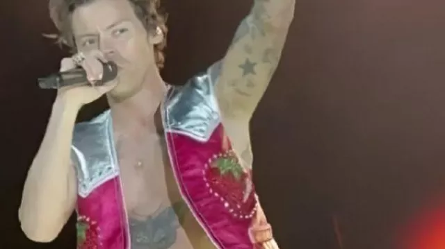 Harry Styles Concert Pink Strawberry Vest
