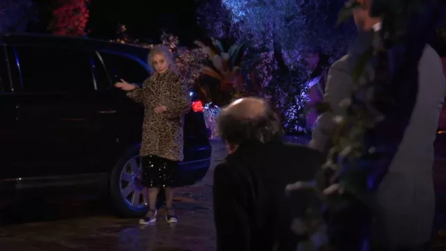Womenyiaor Closed Toe Espadrilles Wedge Sandals worn by Gail the Snail (Mary Lynn Rajskub) as seen in It's Always Sunny in Philadelphia (S17E08)