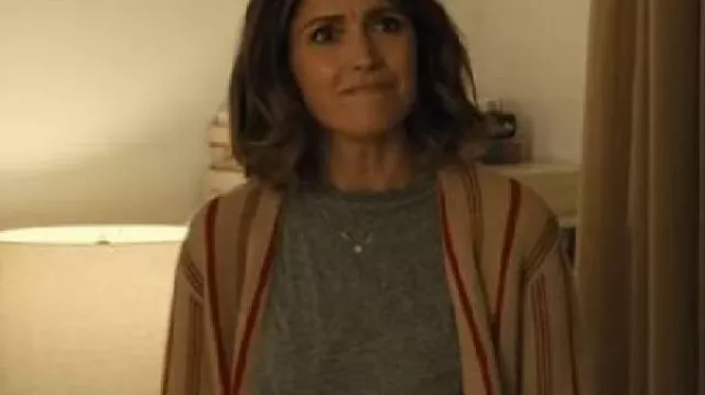 Platonic Rose Byrne Cardigan worn by Will (Seth Rogen) in Platonic