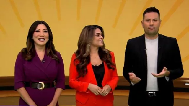 Vestido de chaqueta con cuello en V hasta la rodilla con cinturón de Donna Karan usado por Amber Lee como se ve en CBS Mornings el 28 de agosto de 2025