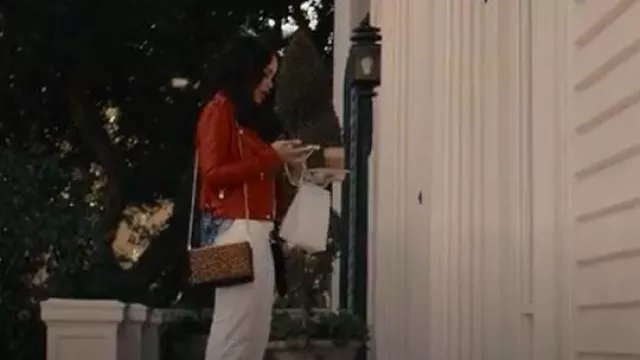 Bolso de mano Christian Louboutin Paloma usado por V. Stiviano (Cleopatra Coleman) como se ve en Clipped (S01E06)