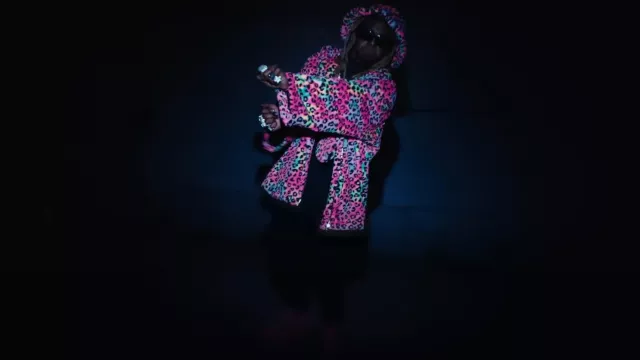 Natasha Zinko Neon Rainbow Leopard Slippers worn by Lil Wayne in 2 Chainz, Lil Wayne - Long Story Short (Official Video)