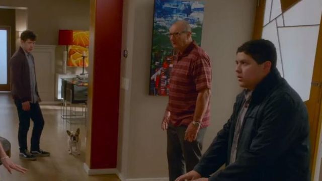 Black shoes, blue and white Vans SK8 in Modern Family