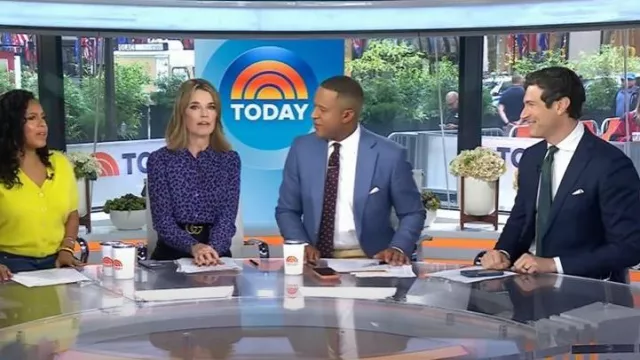 Vanessa Seward Elise Animal Print Silk Shirt worn by Savannah Guthrie as seen in Today on September 26, 2025