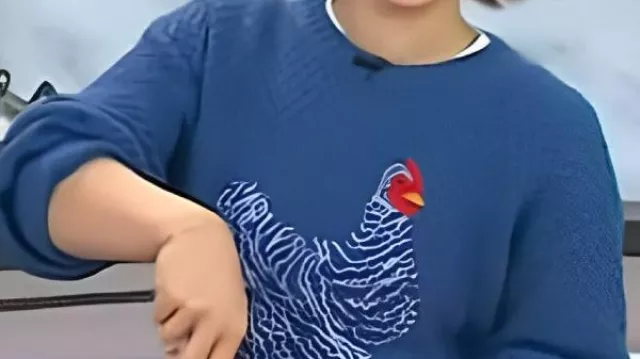 Today Molly Yeh Chicken Printed Sweater