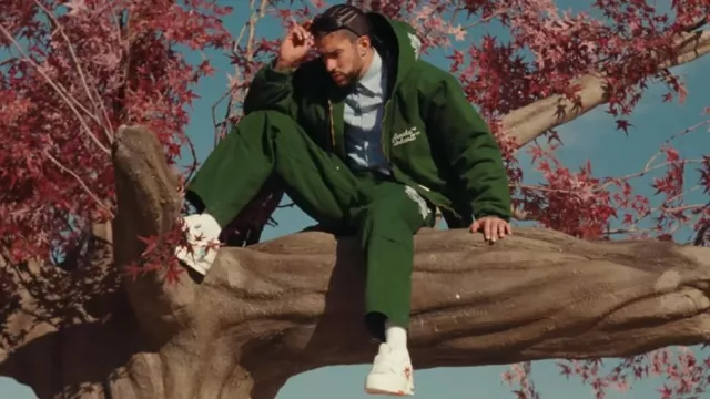 Veste à capuche verte Awake NY x Carhartt WIP portée par Bad Bunny dans Bad Bunny - WHERE SHE GOES (Vidéo officielle)