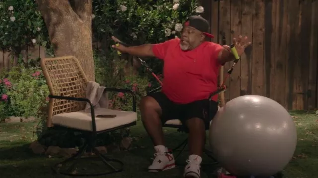 Nike Air Jordan 4 portée par Calvin Butler (Cedric the Entertainer) comme on le voit dans Crutch (S01E03)