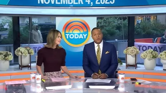 Pull à manches bouffantes froncé porté par Savannah Guthrie comme on le voit dans Today le 4 novembre 2025