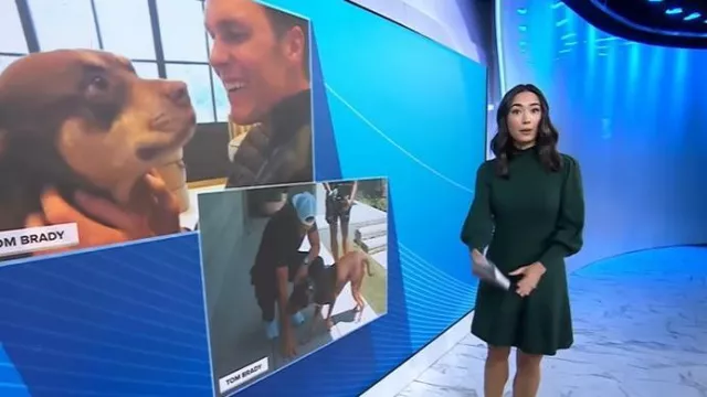 Vince Camuto Mock-Neck Puff Sleeve Dress worn by Emilie Ikeda as seen in Today on November 5, 2025