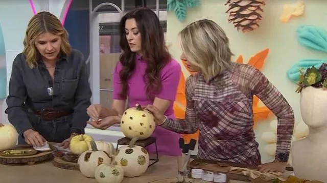 Amur Edith Floral & Plaid Mesh Midi-Dress worn by Dylan Dreyer as seen in Today with Jenna & Friends on November 7, 2025