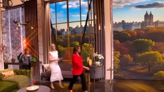 Cinq à Sept Kerry Slim Straight Leg Pants worn by Ana Navarro as seen in The View on November 7, 2025