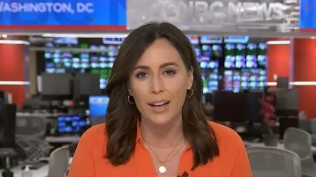 T Tahari Chemise à manches longues à col fendu portée par Hallie Jackson comme on le voit dans Aujourd’hui le 10 novembre 2025